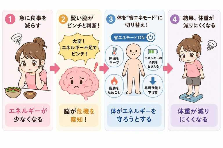 ダイエットの停滞期が起きる仕組み|ホメオスタシス(恒常性)の図解